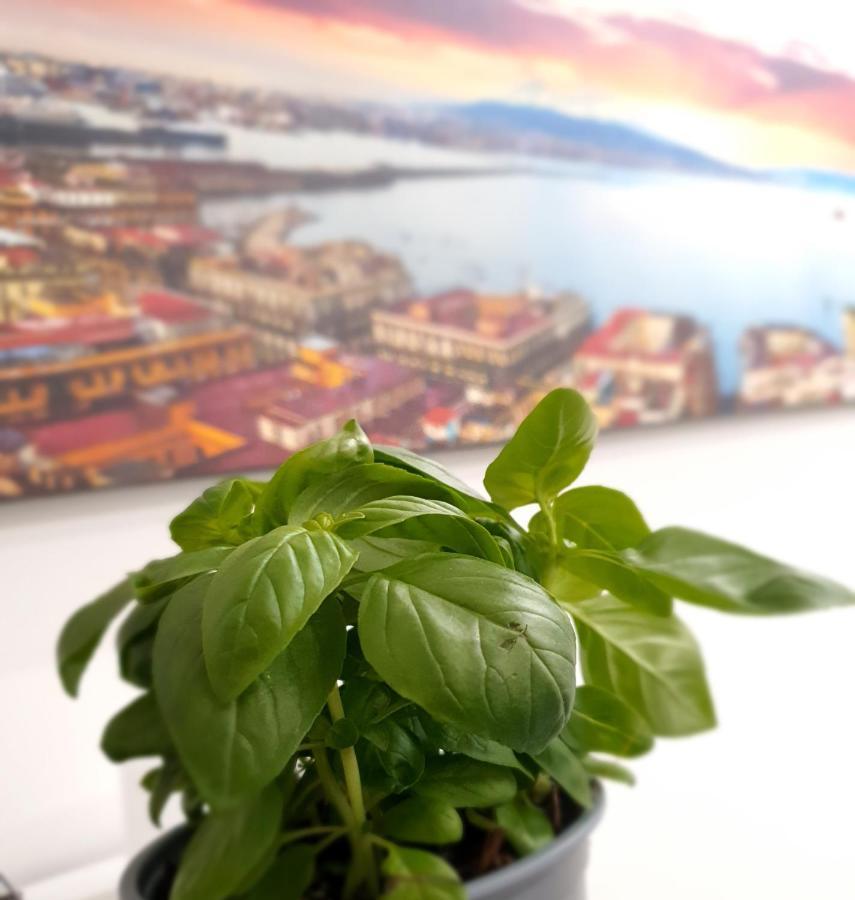 Gaisa Naples - Bed And Breakfast المظهر الخارجي الصورة